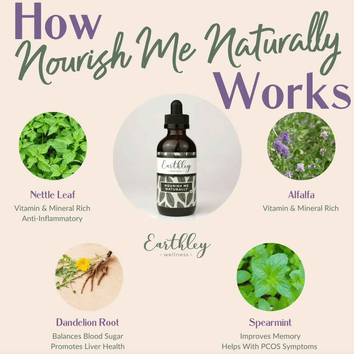 Earthley Wellness Nourish Me Naturally, Liquid Herbal Multivitamin for Whole Family Wellness, Bioavailable Plant-Based Nutrition, Herbs Like Nettle and Alfalfa Leaf, Trace Minerals Alcohol-Free (4oz)