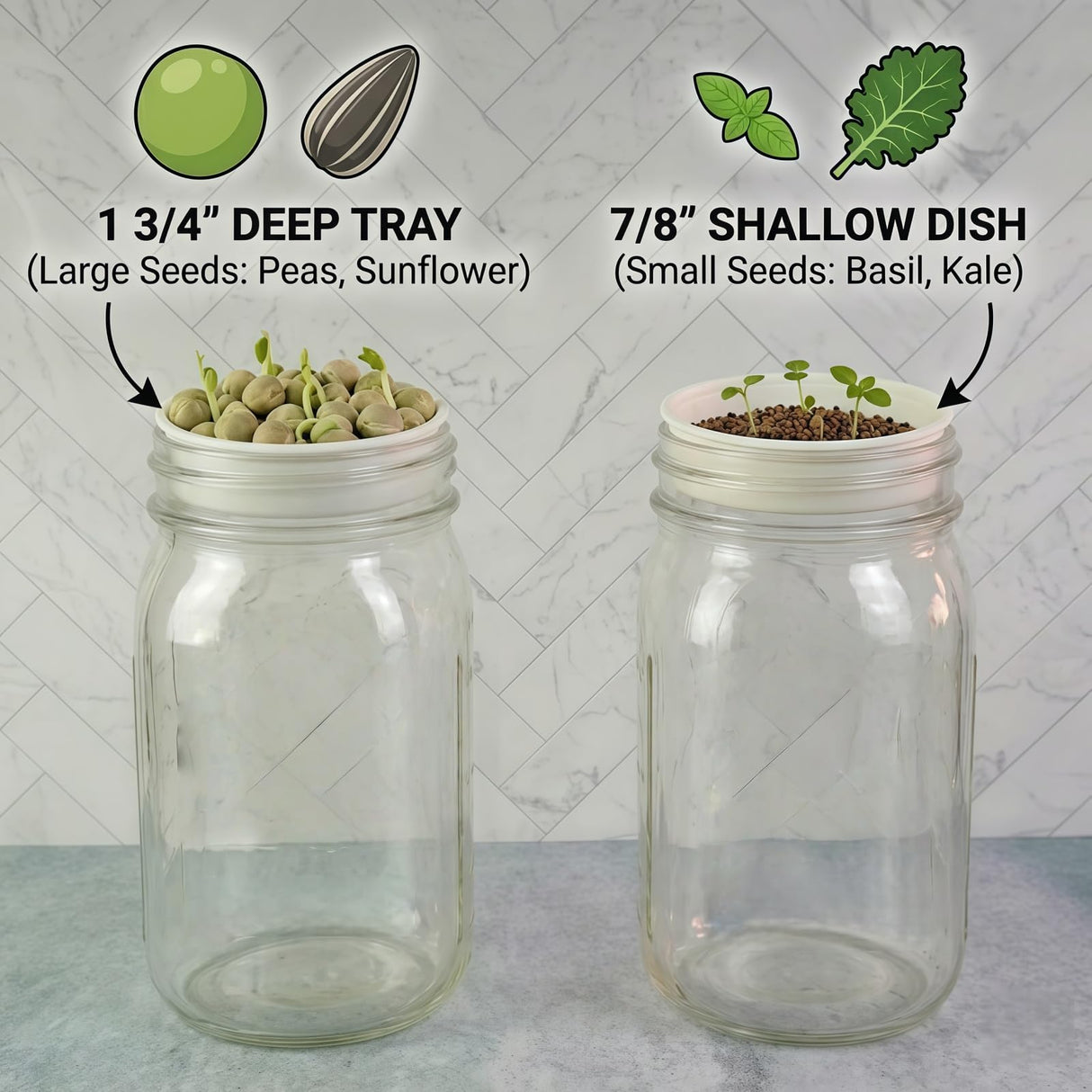 Microgreens Growing Kit Compatible with Mason Jar, 4-Pack Deep & Shallow Hydroponic Sprouting Trays for Indoor Gardening, Easy Indoor Microgreens Grower for Kitchen Herb Gardening and Home Growing