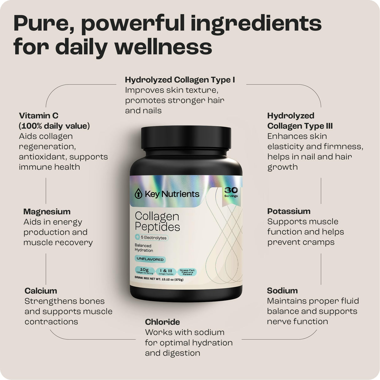 KEY NUTRIENTS Collagen Peptides Powder, Multi Collagen Peptides Powder, Collagen Powder Unflavored Electrolytes, Collagen Supplements, Collagen Peptides for Women, Collagen for Men (30 Servings)