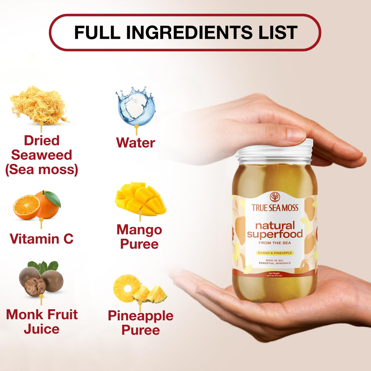 2 Pack TrueSeaMoss Wildcrafted Irish Sea Moss Gel - Made with Dried Seaweed & Fresh Sea Vegetables, Seamoss - Made in USA (Mango/Pineapple)