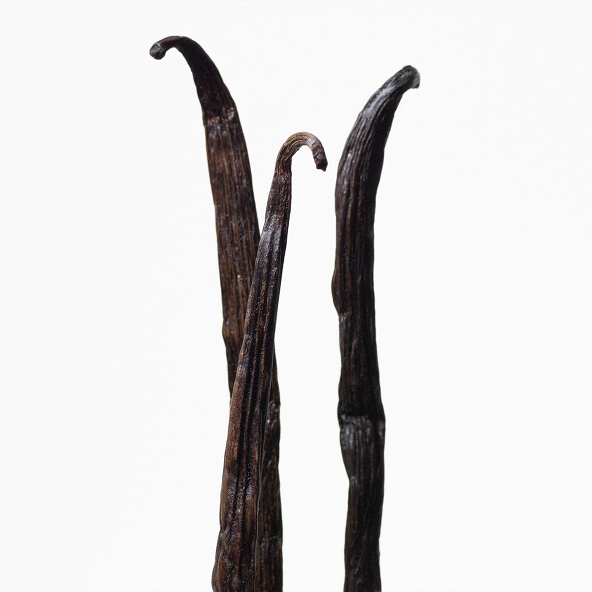 Calvin Klein Euphoria for Women Eau de Toilette, 3.3 Fl Oz