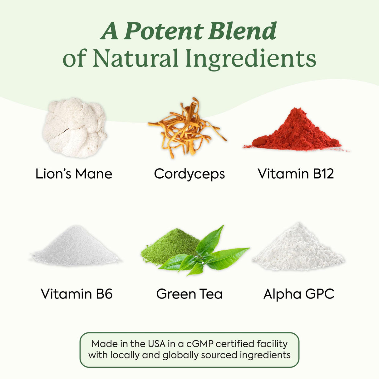 Plant People WonderFocus Mushroom Gummies with Lion’s Mane & Cordyceps - Nootropic Brain Supplement Boosts Memory, Focus, Energy & Mood in Adults | No Sugar, 100% Vegan, Citrus Flavor, 60 Count