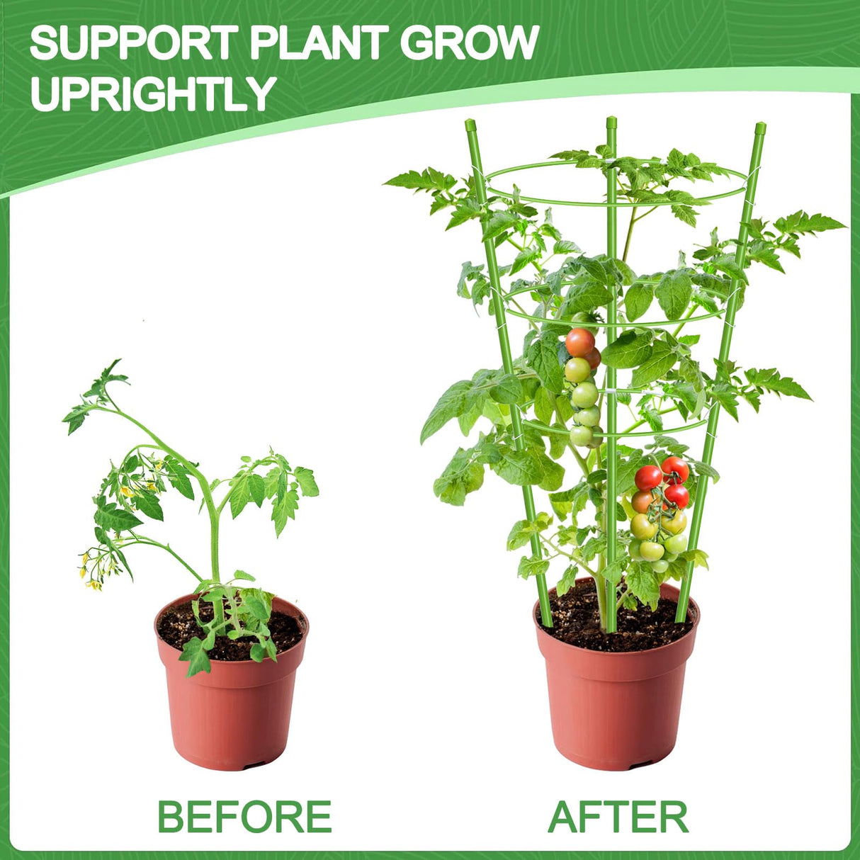 KLS 3 Pack Tomato Cage for Pots Plant Support, Upgrade 24 Inches Tomato Cages for Garden, Pepper Cage Trellis Kit with Plant Tie and Clips (24")