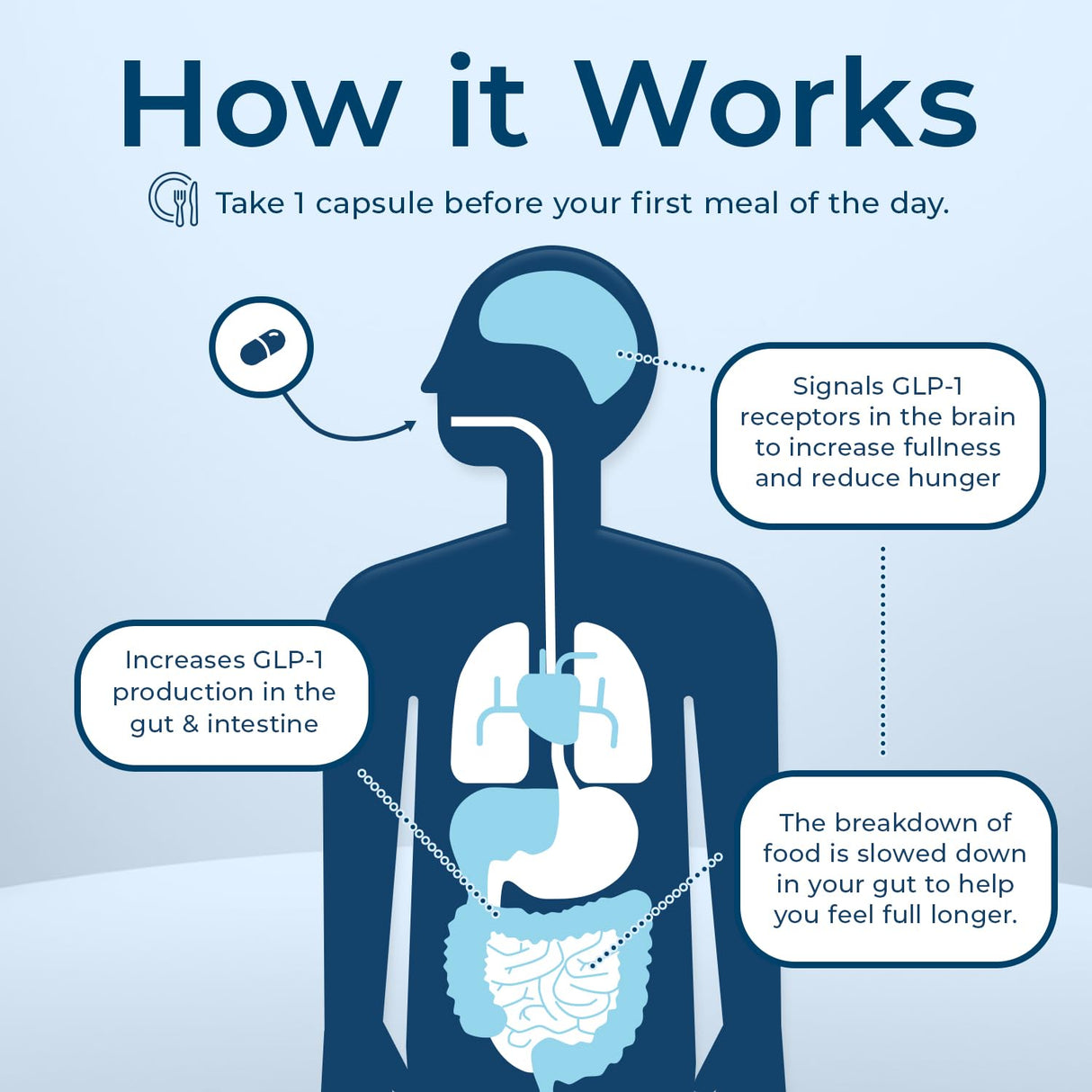 Pharmaganics Dr. Stephanie's GLP-Wonder Natural GLP-1 Boosting Supplement - Control Hunger & Appetite, Fight Cravings - Side-Effect Free Support