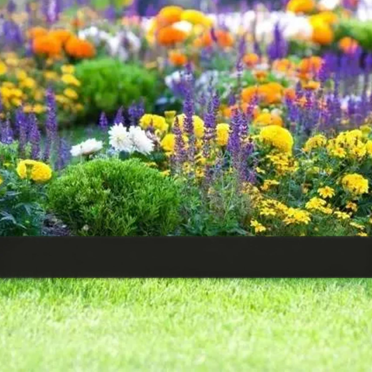 33FT Landscape Edging, 4 Inch Garden Edging Border with 50 Spikes, Flexible Lawn Edging for Trees, Landscape, Garden, Flower Beds, Lawn, Yard, Pathway, Paver Edge-Black