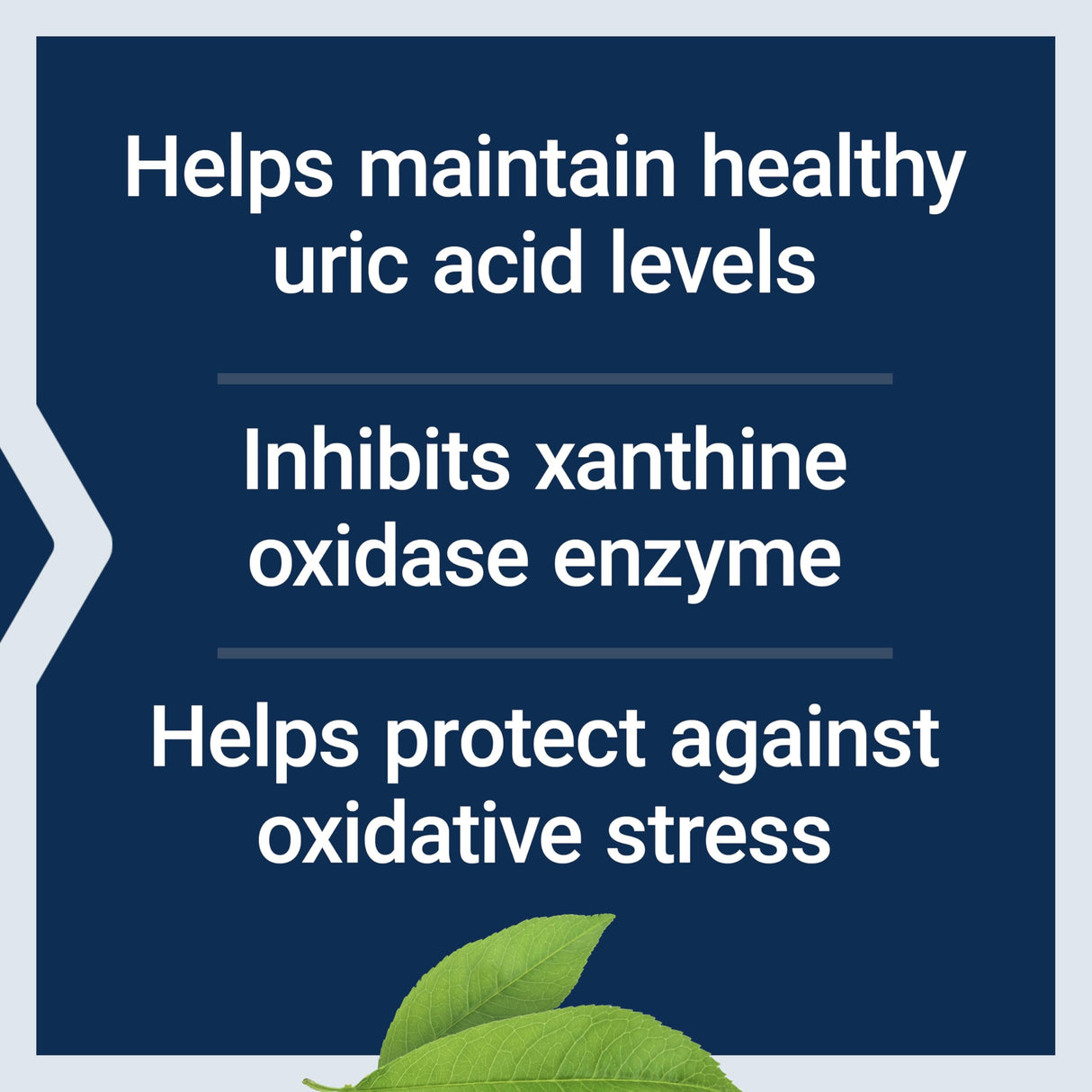 Life Extension Uric Acid Control, Promotes Healthy uric Acid Balance, Joint Health, discomfort Relief, Gluten Free, Non-GMO, Vegetarian, 60 Capsules