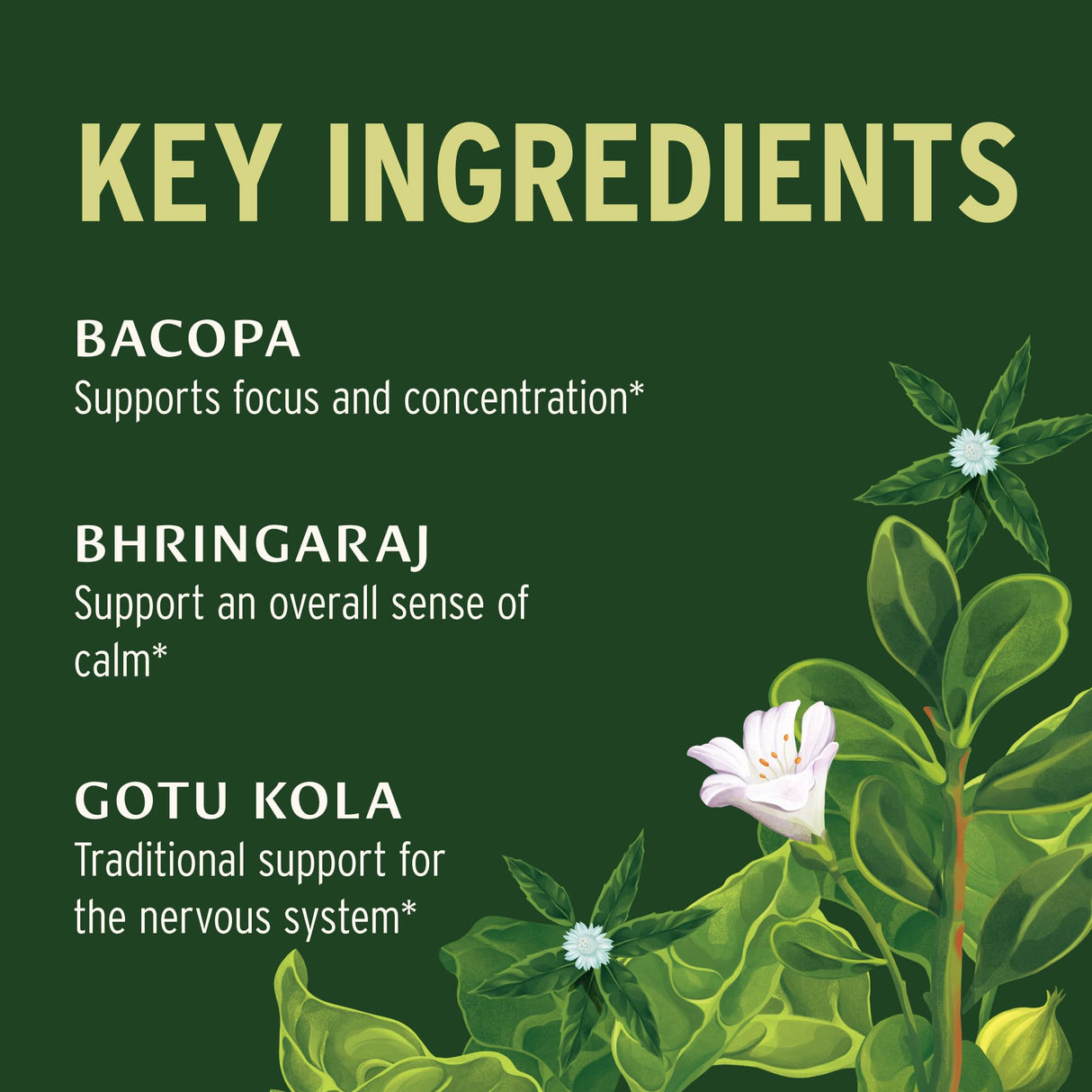 Banyan Botanicals Mental Clarity – Organic Supplement with Gotu Kola & Bacopa – Supports Healthy Cognitive Function & Mental Performance* – 90 Tablets – Non-GMO Sustainably Sourced Vegan