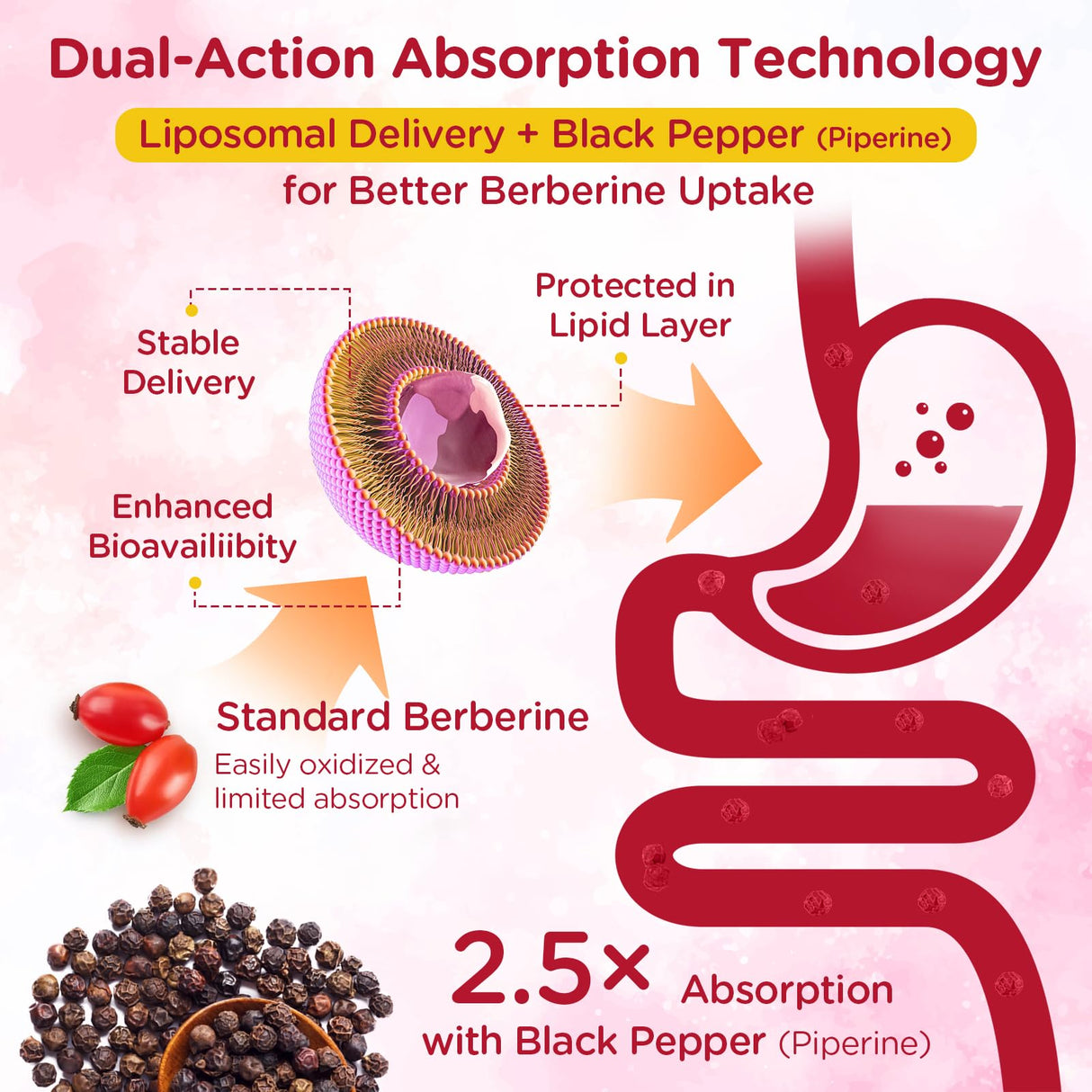 2000mg Liposomal Berberine Supplement Gummies | High Potency Berberine HCL Activates AMPK with Ceylon Cinnamon | Dual Gut–Glucose Innovation | Advanced Absorption | Zero Sugar Mixed-Berry | 120 Count