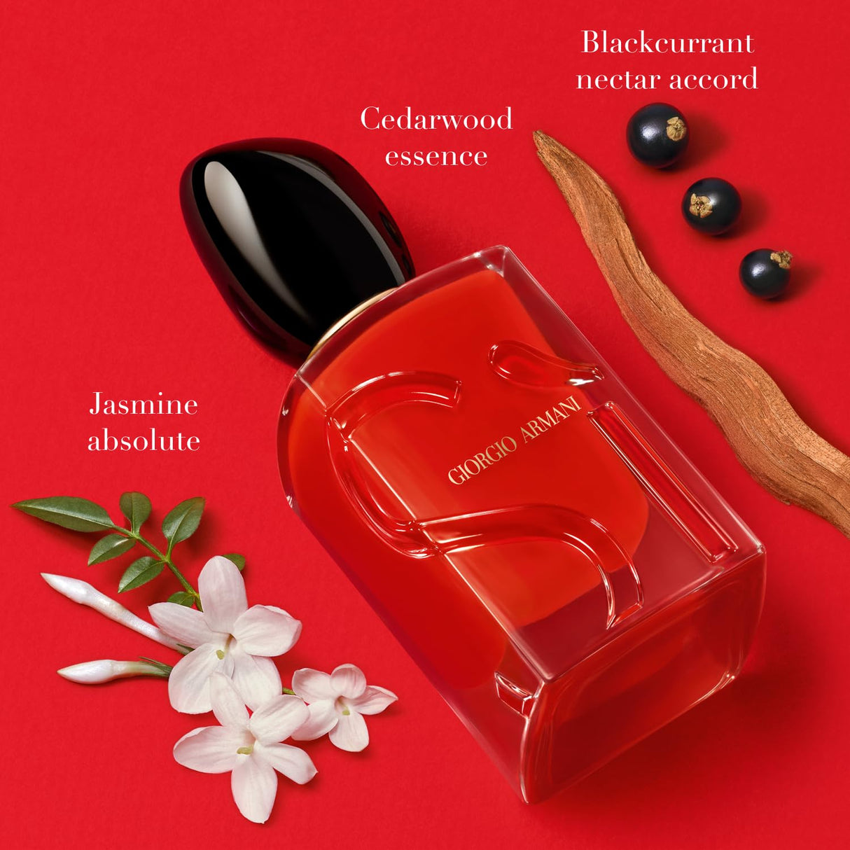 Armani Beauty – Sì Passione – Eau de Parfum – Vanilla Perfume for Women – Floral Citrus Fragrance – Blackcurrant Nectar, Damascena Rose, Black Tea Notes - 3.3 Fl Oz