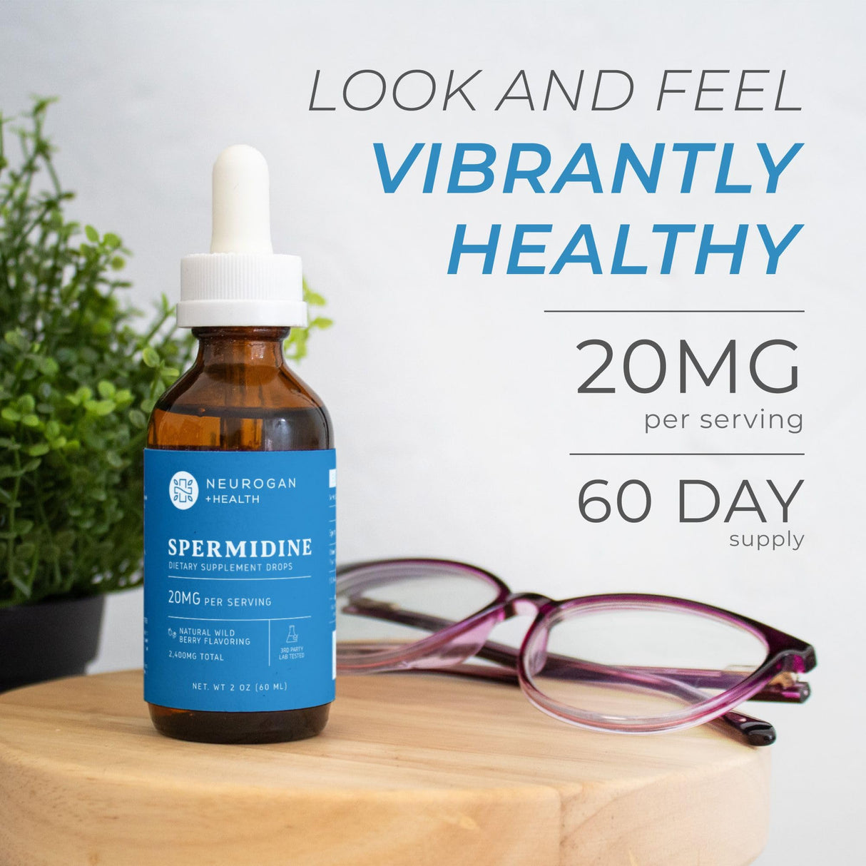 Neurogan Spermidine Supplement - 20 mg per Serving | 98% Pure | Autophagy Support & Cellular Health Supplements | Liquid Spermidine 3rd Party Tested | 60 mL, Made in USA