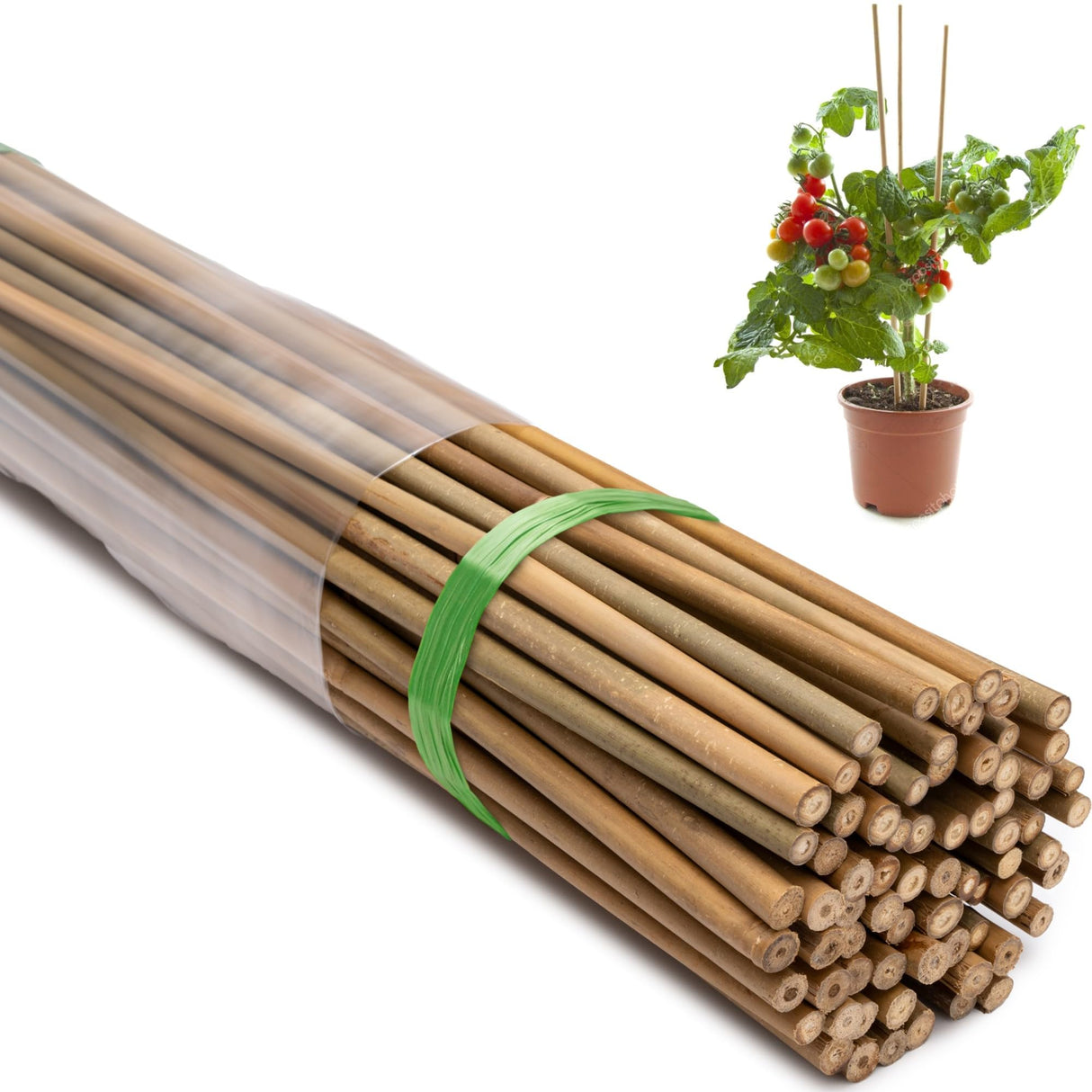 Taoskai Bamboo Stakes, 5 Feet (58 inch), 70 Pcs