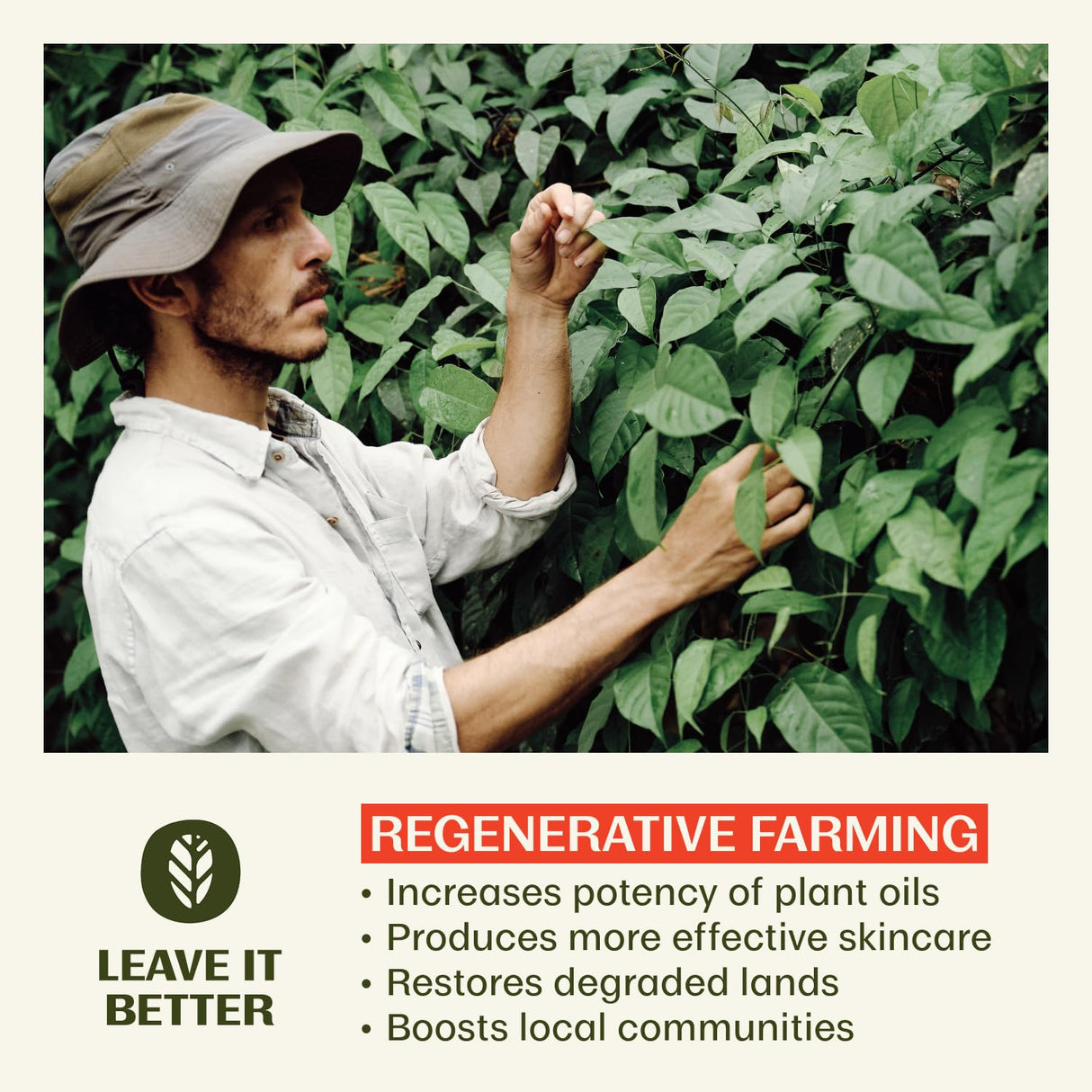 Thrive Reef Safe Sunscreen SPF50 - Hawaii 104 Reef Act Compliant - Mineral Sunscreen Non-Nano Zinc Oxide - Vegan, (5.8 Oz (Pack of 1))