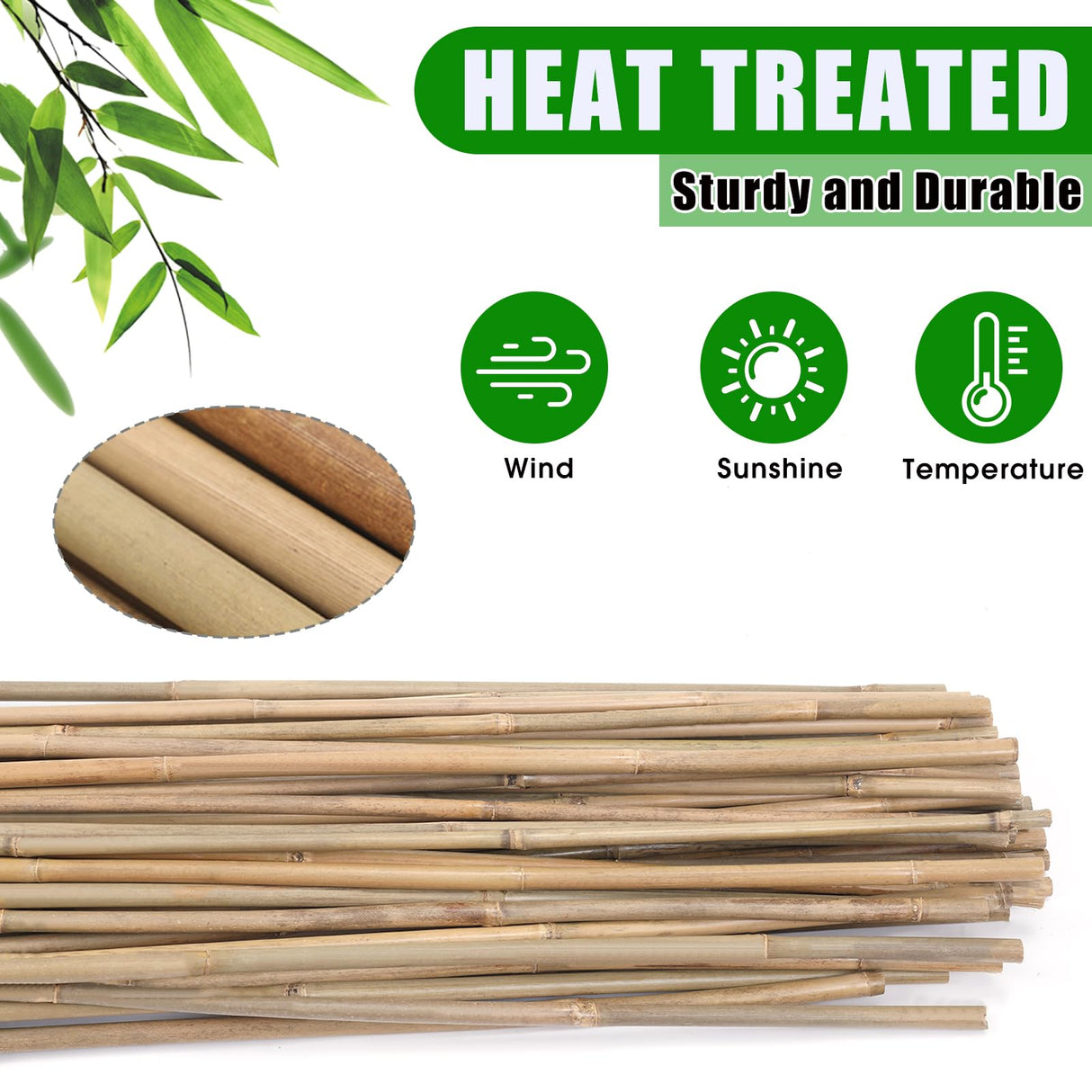 Plant Bamboo Post,6Feet,Bamboo Garden Stakes,50PcsBamboo Stakes,for Tomato,Beans,Vegetable and Flowers, Potted Plants,Indoor and Outdoor Climbing Plants