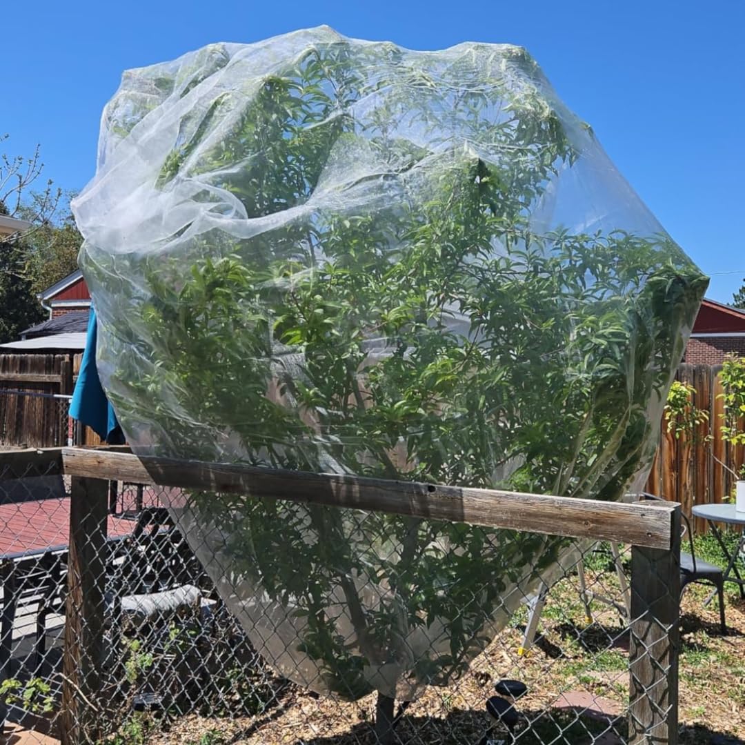 2 Pack 13x13 FT Fruit Tree Net Bags, Zipper Bird Net Cover for Apple Trees