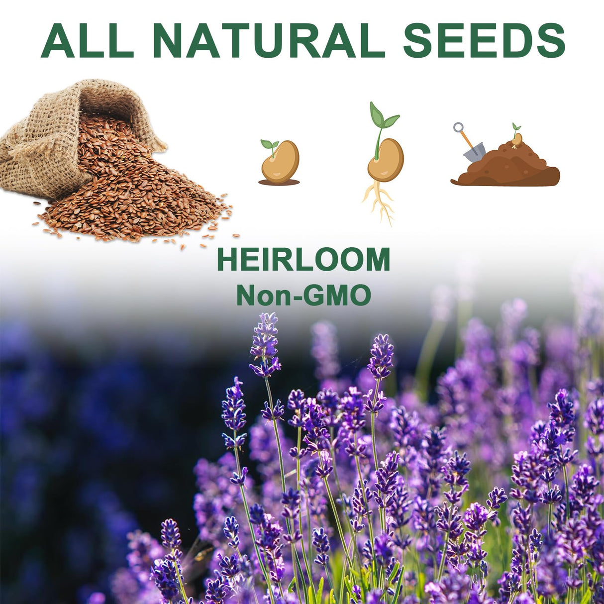 Lavender Seed Pod Kit, 8 Pod Kit (Include Seed Lavender/Chamomile/Holy Basil/Borage/Calendula/Mint) Fresh Tea Seed Pod Kit Compatible with Hydroponics