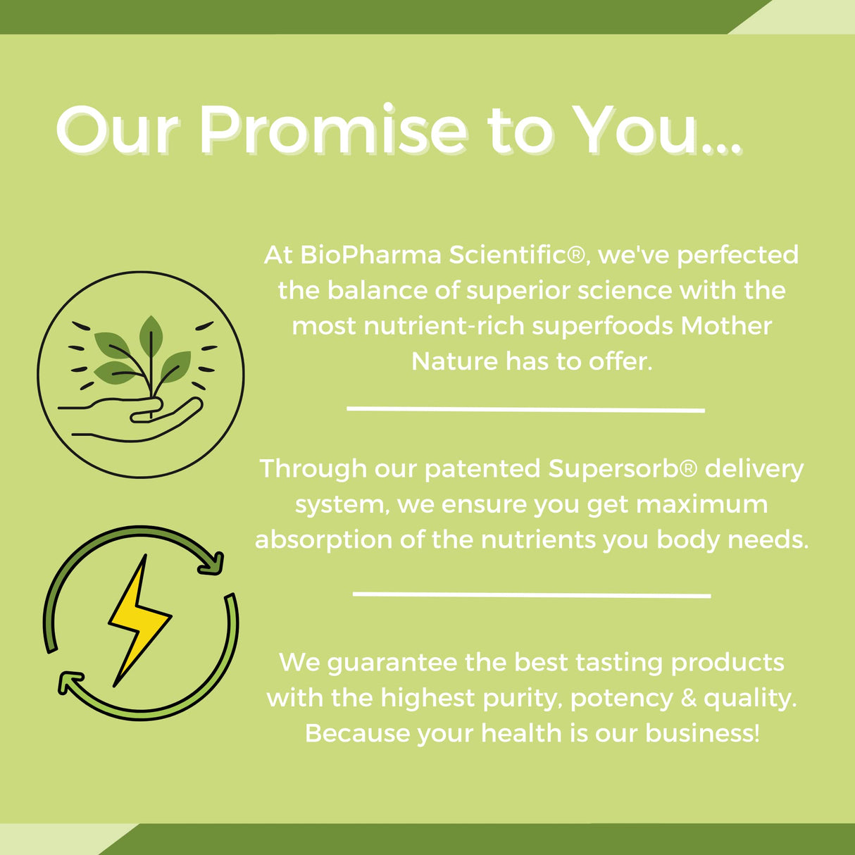 Biopharma Scientific NanoGreens: Greens Superfood Fruit & Vegetable Powder for Digestive Health & Immunity with Spirulina, Chlorella, Kale, Spinach, Plant Based, Green Apple Flavor, 30 Servings