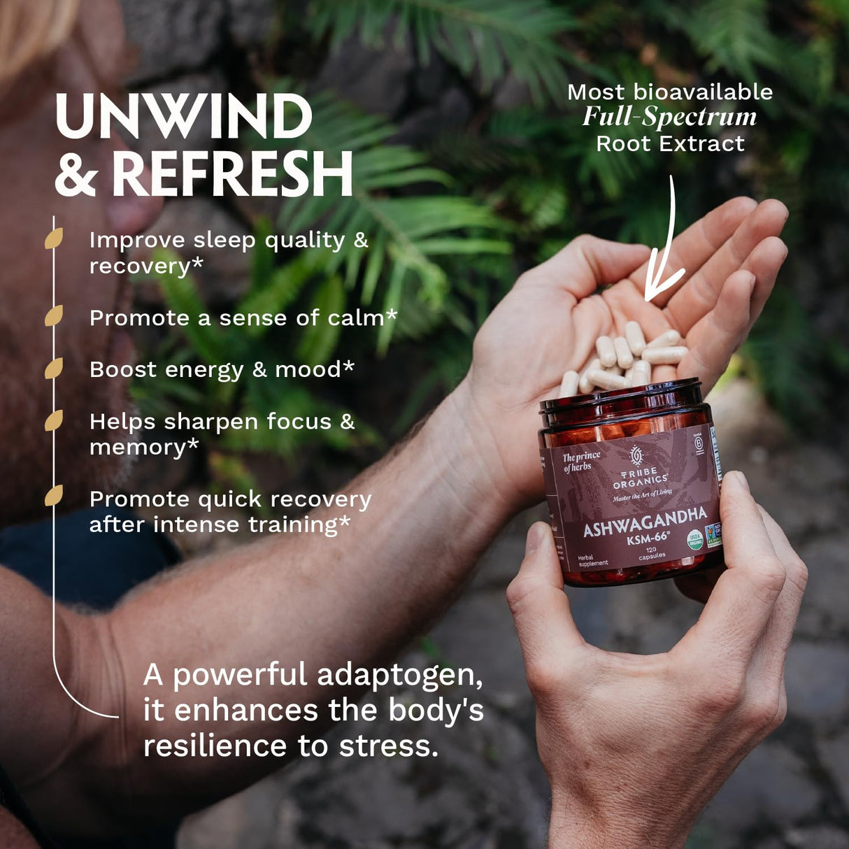 TRIBE ORGANICS Ashwagandha KSM 66 Pure Organic Root Powder Extract Ayurvedic Supplement - Focus, Mood Support, Increase Energy, Strength, 600mg of Natural KSM66 for Superior Absorption - 120 Capsules