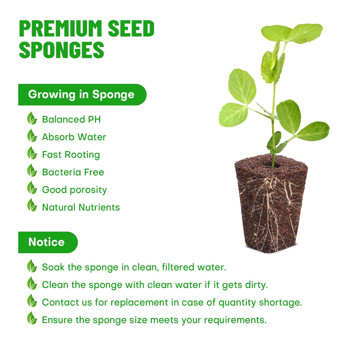 LAPOND 100 Pack Grow Sponges, Replacement Root Growth Sponges Seed Pods,Seed Starter Plugs for Hydroponic Indoor Garden System