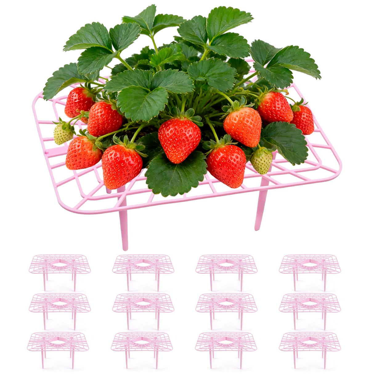 12 Pcs Garden Strawberry Supports Racks Strawberry Stand for Garden