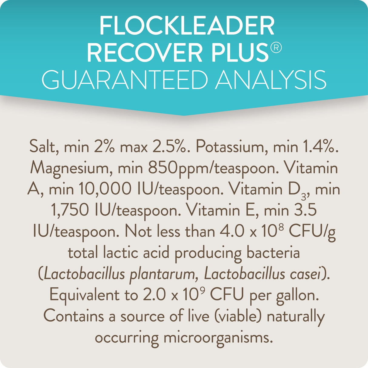 FlockLeader Recover Plus Moderate Stress Probiotic Water Supplement for Chickens with Electrolytes & Oregano, 8 oz