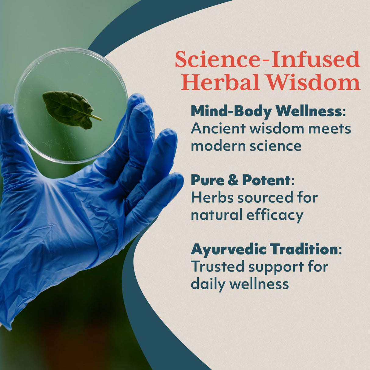 ruved Carditone, Doctor-Formulated, All-Natural Ayurvedic Herbal Supplement, Trusted for Over 30 Years, 30 Vegetarian Caplets