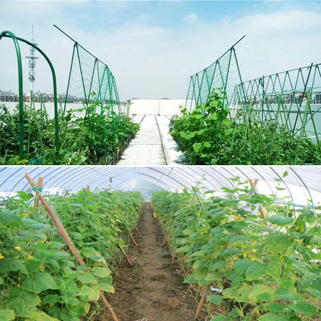 HHTHH Green Garden Trellis Netting 5x100 ft Heavy Duty Polypropylene Plant Support Net for Climbing Vegetables Fruits Flowers