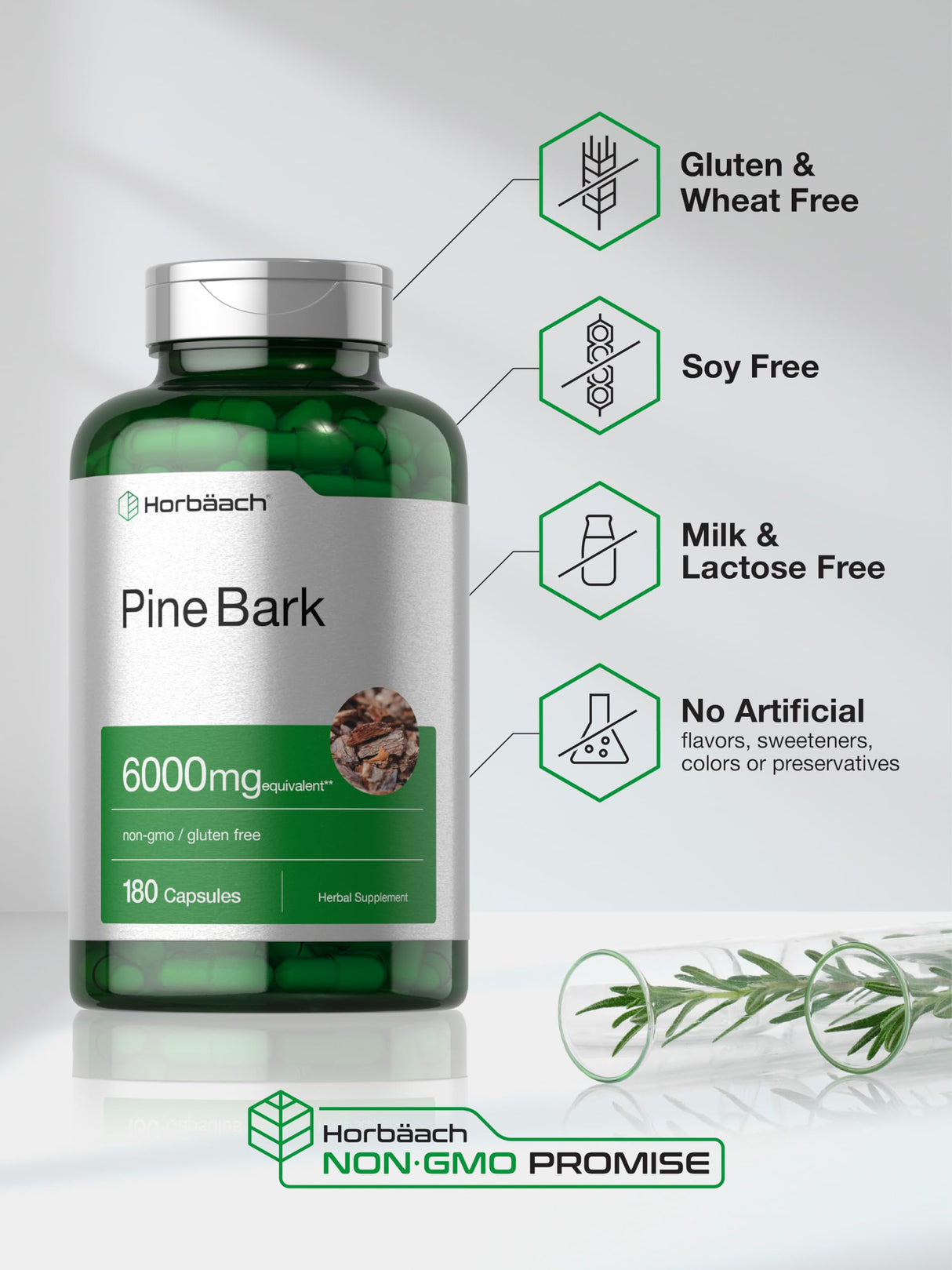 Horbäach Pine Bark Extract | 6000 mg | 180 Capsules | Standardized to Contain 75% Proanthocyanidins | Non-GMO, Gluten Free Supplement | High Potency