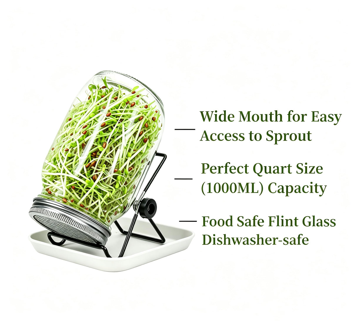 Lulonpon 2pcs Sprouts Growing Jar Kit, Wide Mouth Quart Mason Jars with Stainless Steel Screen Sprout Lids, 86mm,1000ml,Stand,Tray and Canning Brush,Seed Sprouter Set for Broccoli, Alfalfa, Mung Bean
