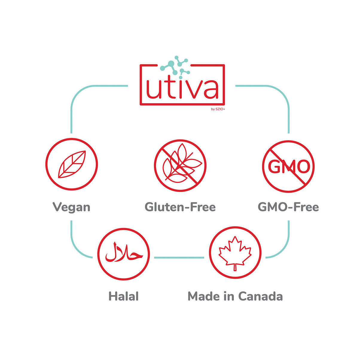 Szio+ Utiva Probiotic – Urinary Tract and Gut Health Supplement – 12 Billion CFU Lactobacillus & Bifidobacterium Probiotic for Men and Women, 30 Delayed Release Vegi Capsules