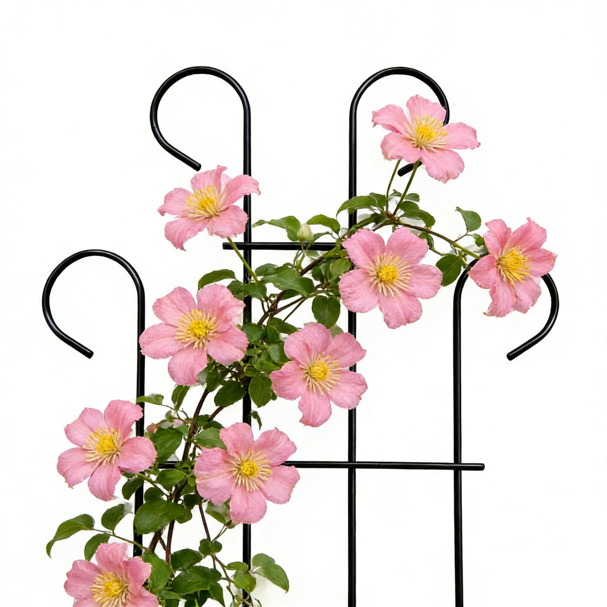 2 Pack 31 Inch Black Coated Wave Pot Metal Trellis Panel,Plant Stakes for Climbing Plants Outdoor Roses Vines Flower Vegetable Supports