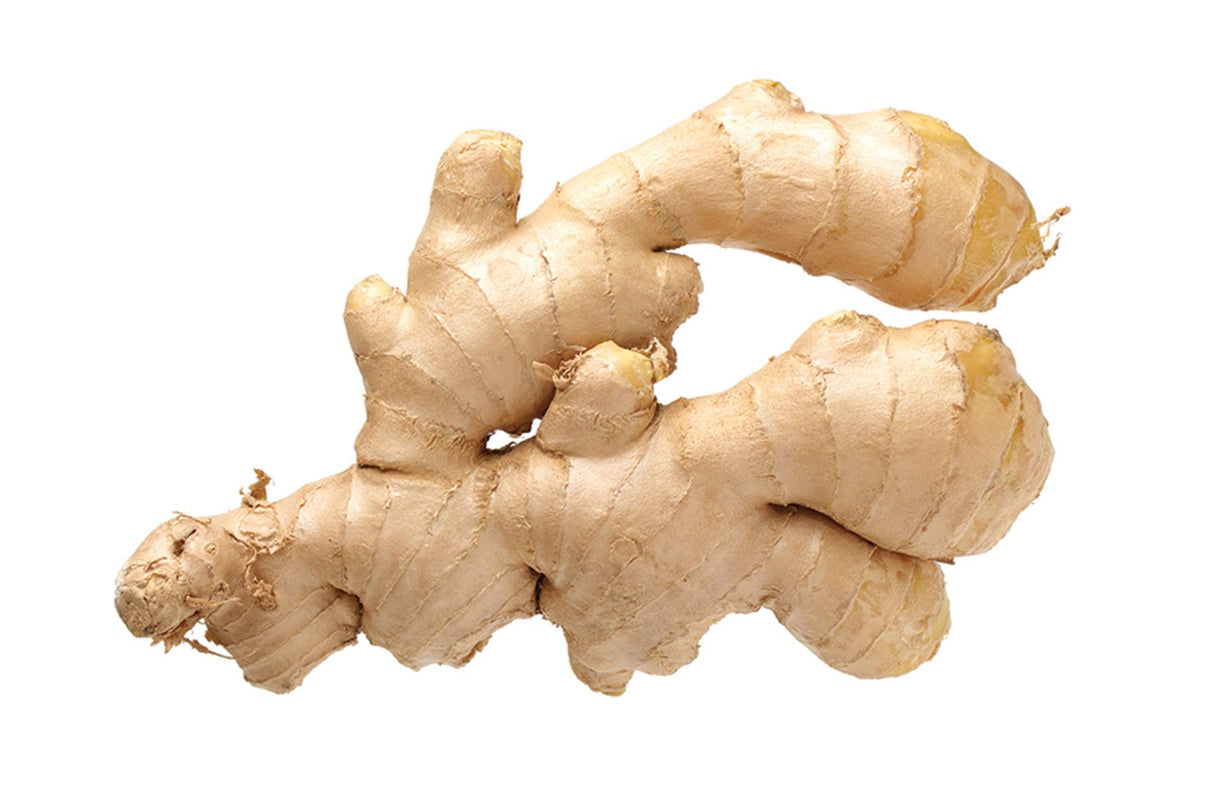 Ginger, Whole Root, 8 OZ, Country Creek Acres Brand- Savory, Tasty, and Full of Nutrients!