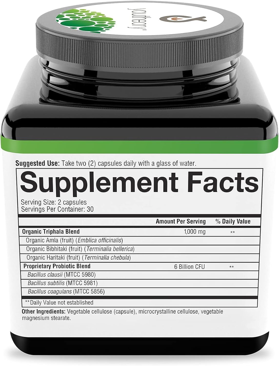 Youtheory Spore Probiotic - 6 Billion CFU - Probiotic Digestive Supplement* - Resists Stomach Acid Breakdown* - Dairy, Gluten & Soy Free - 60 Vegetarian Capsules