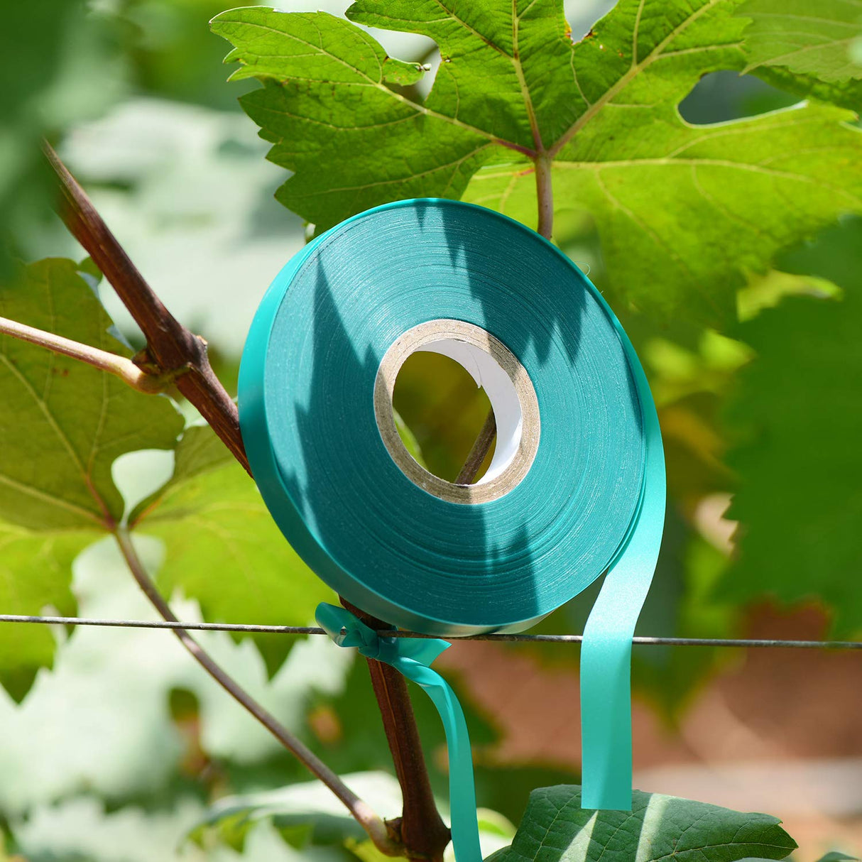 TELENT OUTDOORS 10 Pcs 150 Feet x 1/2" Wide Stretch Tie Tape Green Plant Garden Tie, Garden Vinyl Stake for Branches, Climbing Planters, Flowers