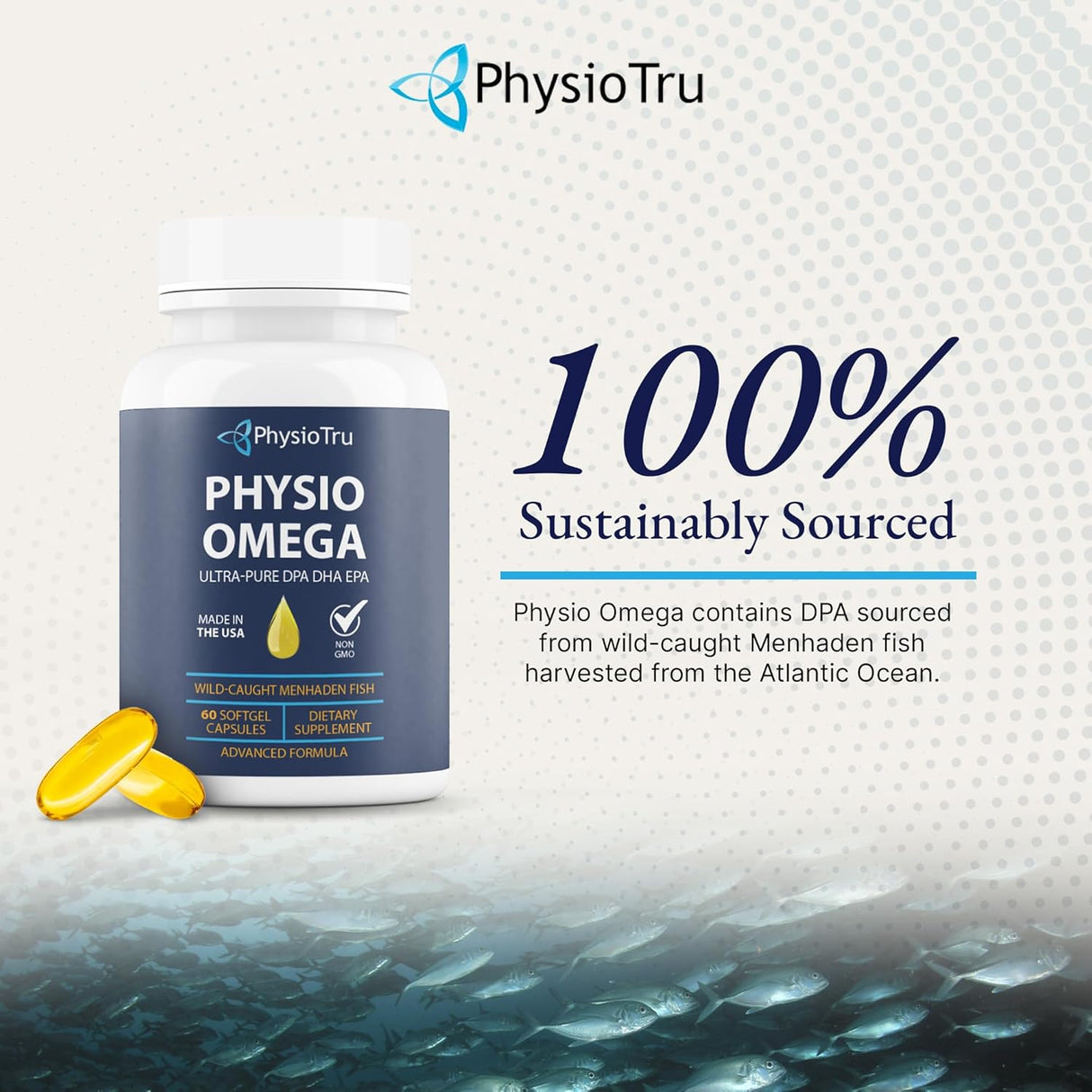 Physio Omega - Omega 3 Supplement - Sustainably Sourced - with DPA, EPA, and DHA - Burpless Fish Oil - 1 Pack
