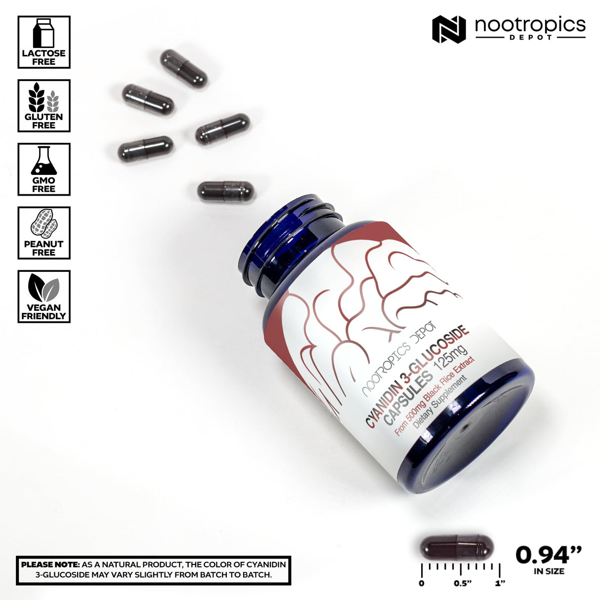 Nootropics Depot Cyanidin 3-Glucoside Capsules | 125mg | 60 Count | Black Rice Extract | C3G | Oryza Sativa | Metabolic, Vision, & Cognitive Support