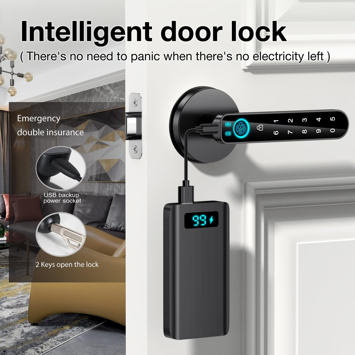 Fingerprint Door Lock- Smart Door knob,biometric Door Lock,with passcode keypad keyless Entry Door Handle,for Bedroom Home Hotel Office Apartment (Black with APP)