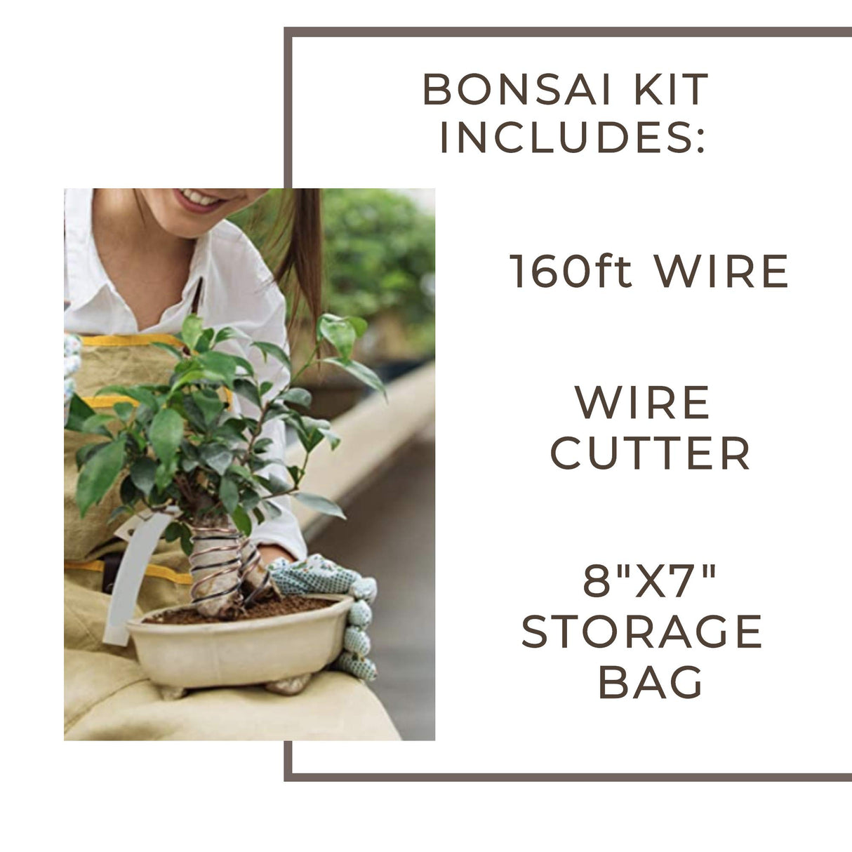 Leaves & Soul Bonsai Wire Kit with Cutter, Bonsai Training Wire Set 160ft