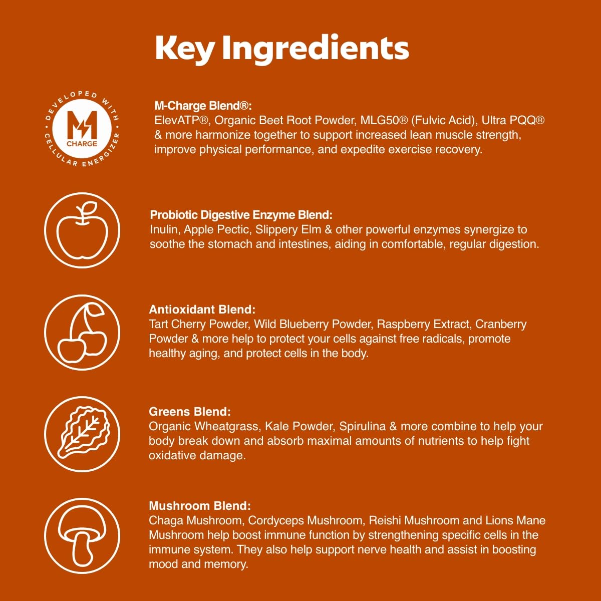 L'Evate You Vitality Daily Greens Powder (28 Servings) 30 Superfoods, 9 Greens - for a Cellular Energy Boost, Powered by M-Charge Complex for All Day Energy (Chocolate)