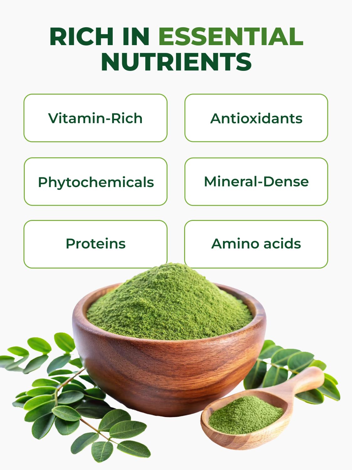 PURA VIDA MORINGA Organic Moringa Leaf Powder, Premium 100% Leaf Powder Single Origin - USDA Organic Moringa Oleifera, Perfect for Smoothies & Recipes, 8 oz