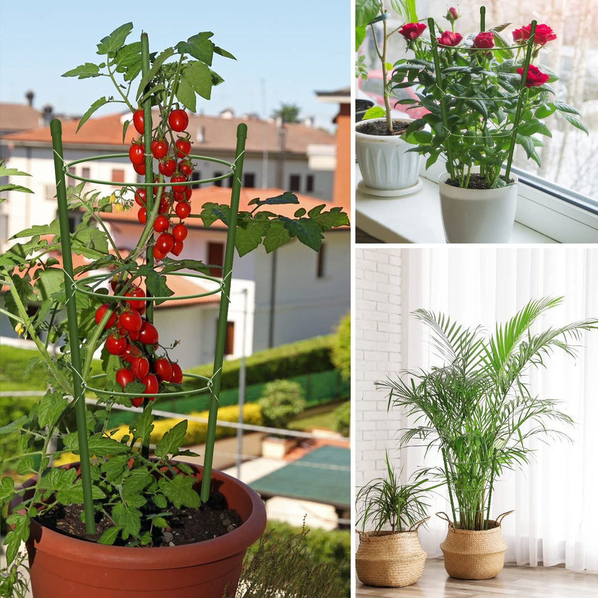 Hoyejyou 4 Pack Tomato Cage for Garden Plant Support, 18 inches Small Tomato Cages Tomato Trellis with Adjustable Rings, Plant Stakes for Peony Support, Tomato Stakes Rings for Climbing Plants