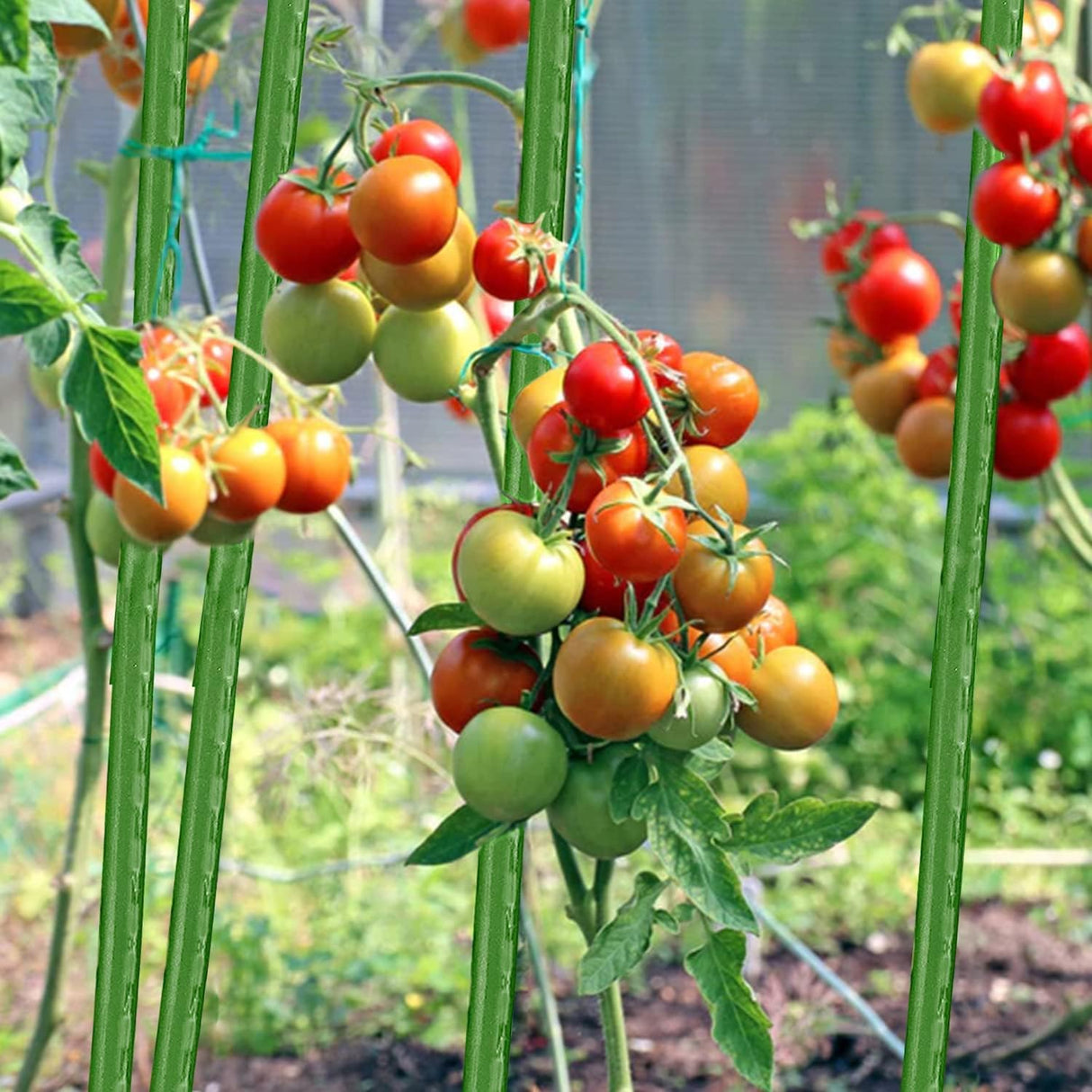 BOTINDO Garden Stakes 36 Inches Sturdy Green Plant Sticks 25 Pack, Metal Tomato Stakes Support, Yard Plant Support Cage for Potted Plants, Tomatoes, Trees, Cucumber, Fences, Beans (36 inch)