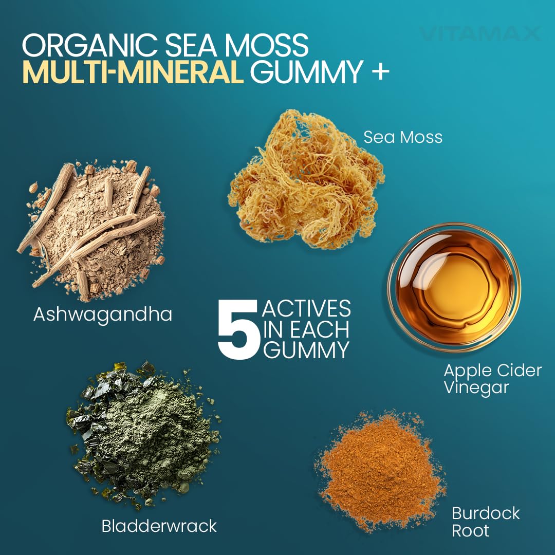 Vitamax Irish Sea Moss Gummies, Sea Moss, Bladderwrack, Ashwagandha, Burdock Root, ACV - Multi-Mineral - Non-GMO and Vegan – Made in USA – 60ct