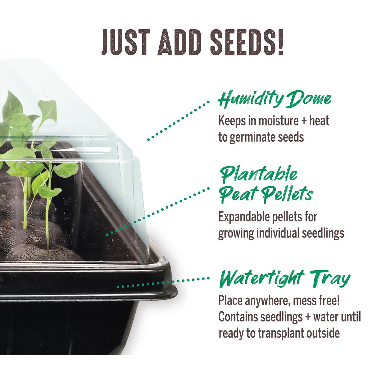 Jiffy Seed Starting Tray Kit - 36 Cell Germination Tray, Portable - 2 Pack, 72 Pellets - Plastic