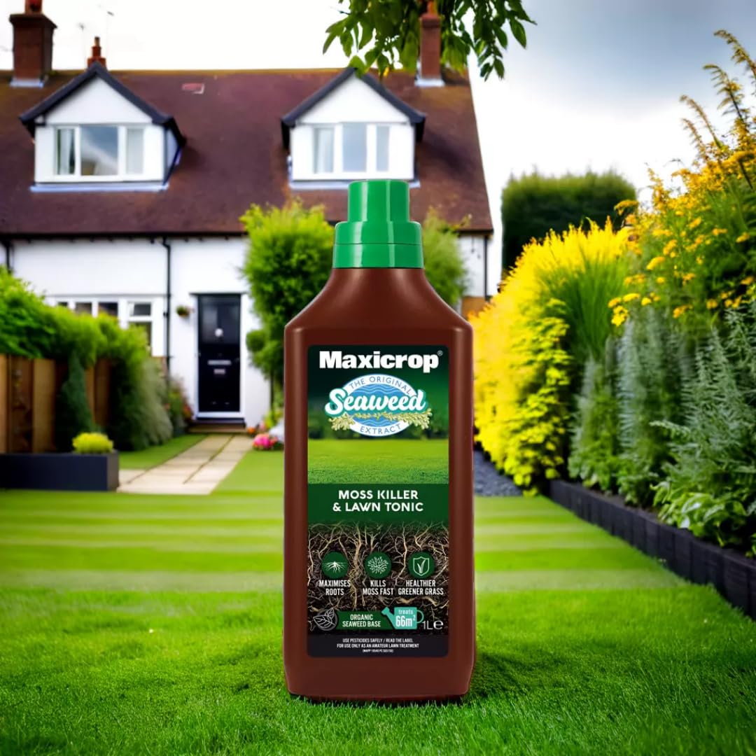Maxicrop 86600258 Moss Killer & Lawn Tonic, 1L - Fast Acting 2-in-1 Moss Killer and Lawn Re-Growth Tonic - with Natural Seaweed Extract - Improves Lawn Health and Strong Rooting - Garden Care