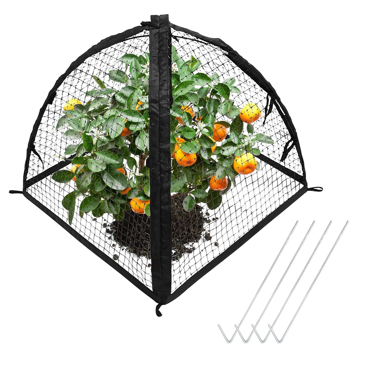 Strawberry Plant Protector,22 x22 x 22 Inch Cloche Dome for Plants