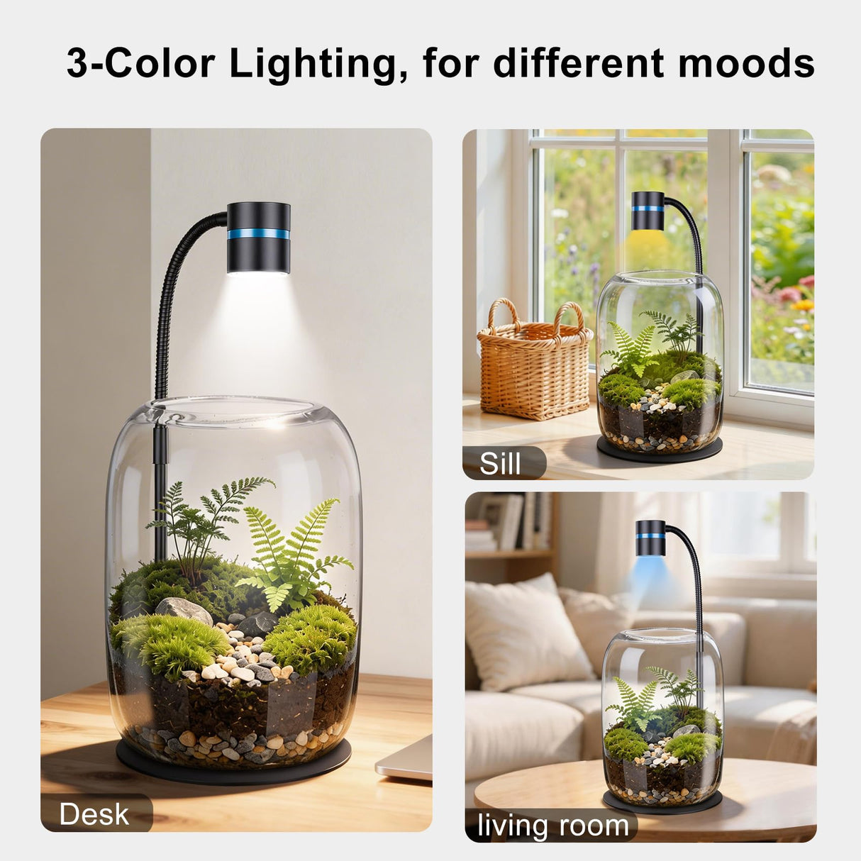 Yeeweek Glass Plant Terrarium with LED Grow Light, Grow Light for Terrarium, Small Desktop Indoor Planter for Venus Fly Trap, Moss & Succulents, Borosilicate Decor Jar for Plant Lovers
