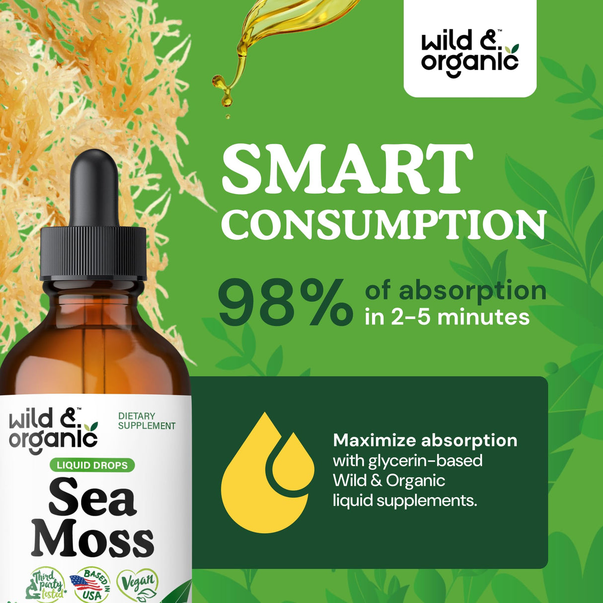 Wild & Organic Sea Moss Drops - Overall Support with Irish Seamoss and Bladderwrack - Multimineral Chondrus Crispus Tincture - Vegan, Sugar & Alcohol-Free Liquid Supplement - 4 fl oz