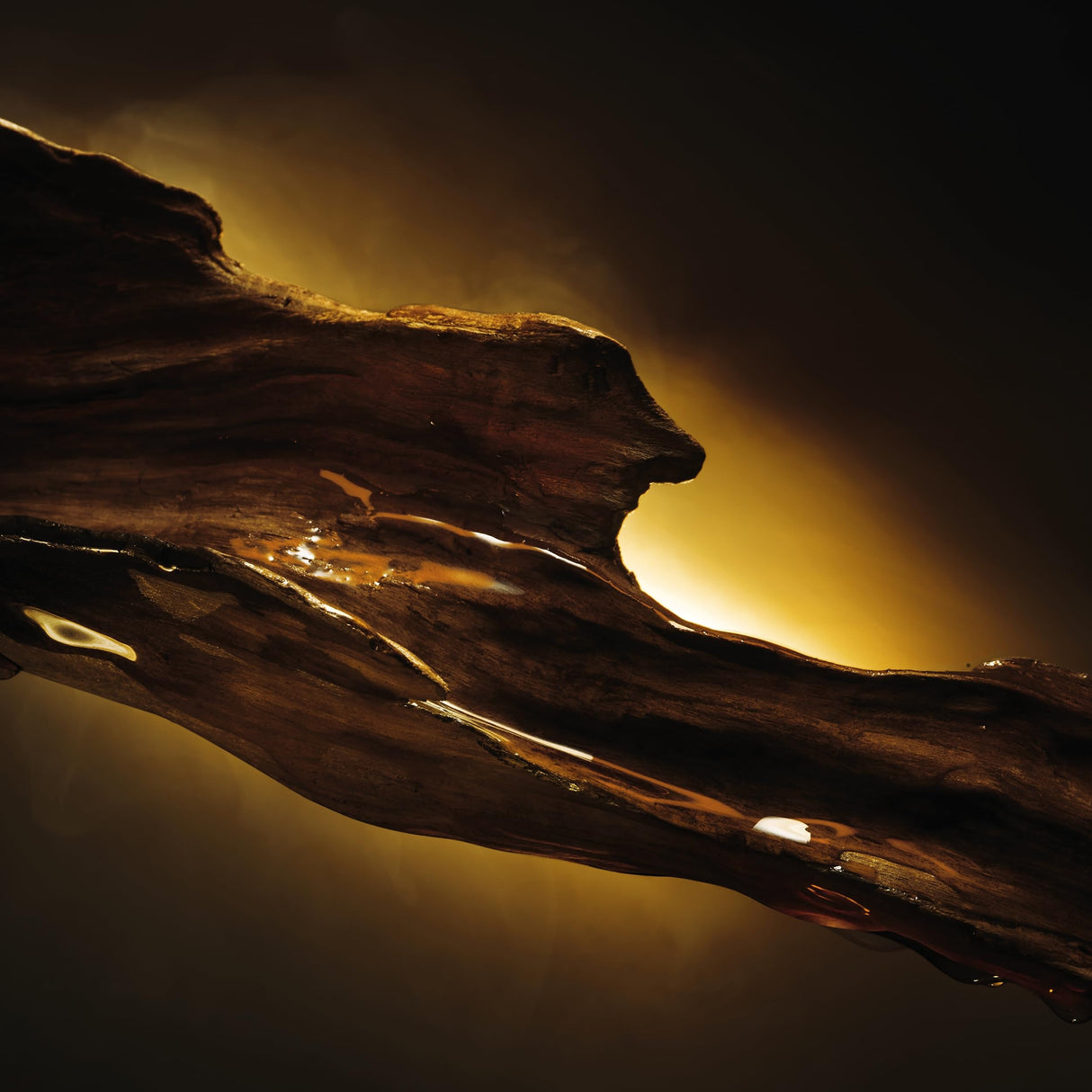 Hugo Boss Men's Boss Bottled Elixir Parfum - Notes of Vetiver, Patchouli and Cedarwood