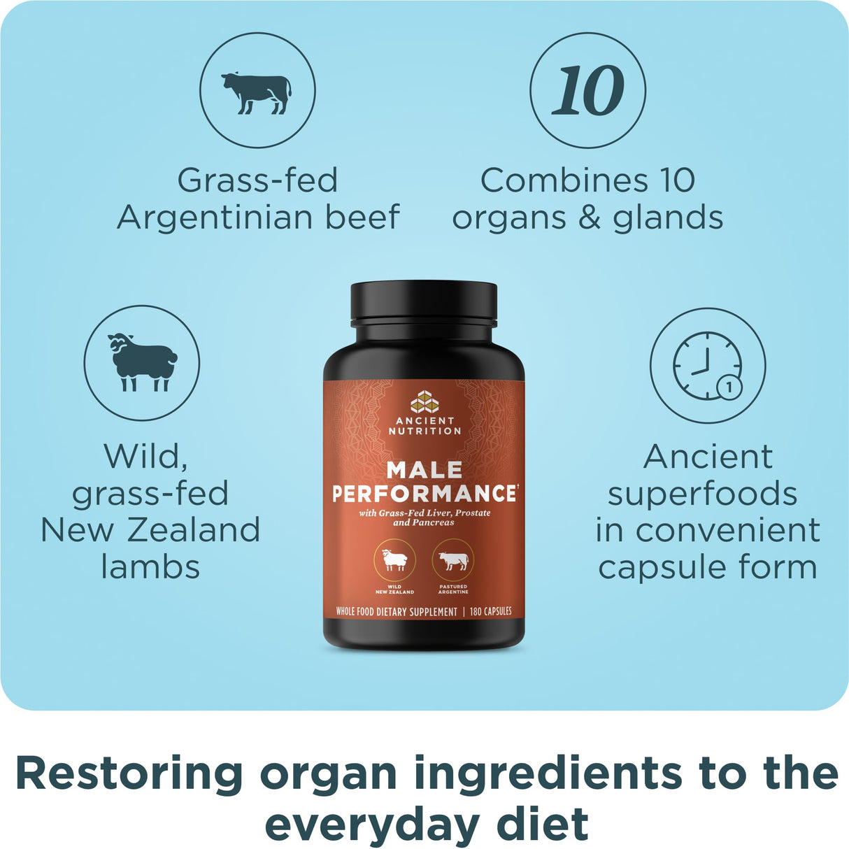 Ancient Nutrition Organ Supplements for Men, Grass-Fed and Wild Organ Complex Capsules, Liver, Prostate, Pancreas Supports Male Performance, Healthy Aging, 180 Ct