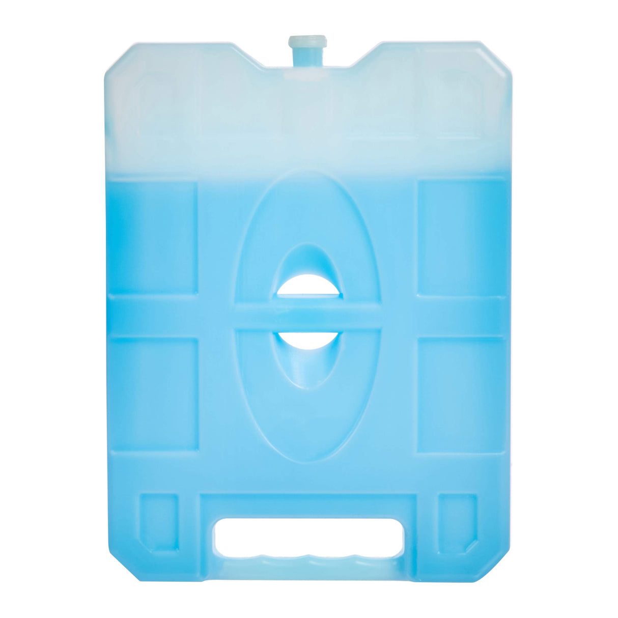 Amazon Basics Reusable Hard Sided Rectangular Ice Pack, Pack of 4, Large, Blue, 10.4" X 7.9" X 1.2"
